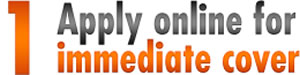 Online Road Risk quote